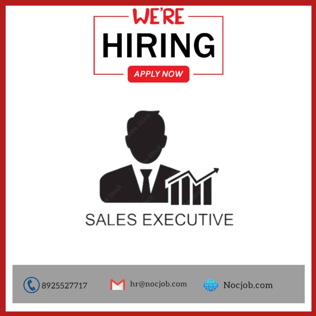 SALES EXECUTIVE