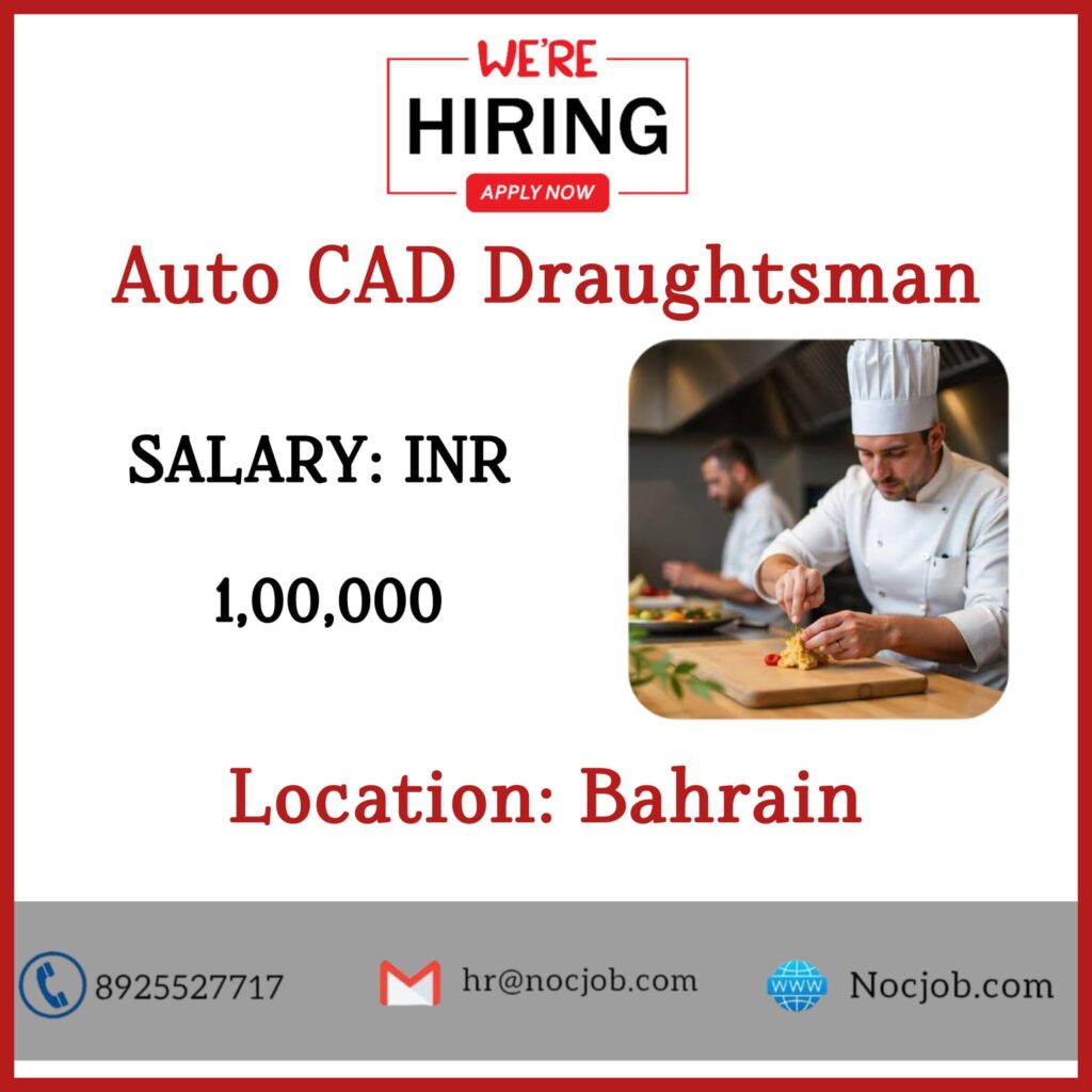 AUTO CAD DRAUGHTSMAN